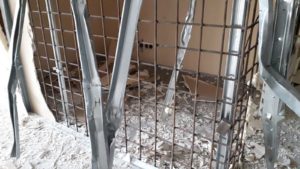 20190208_151541_1600