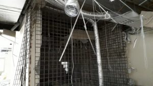 20190208_151549_1600